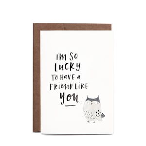 Friend Like You Illustrated ENCOURAGEMENT Friendship Greeting Card