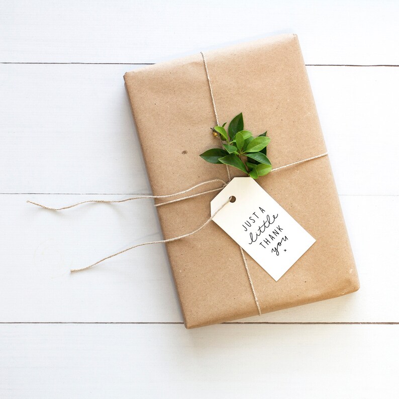 May include: A rectangular gift wrapped in brown paper, tied with twine, and adorned with a sprig of green leaves. A cream-colored tag with the words "Just a little thank you" is attached to the twine.