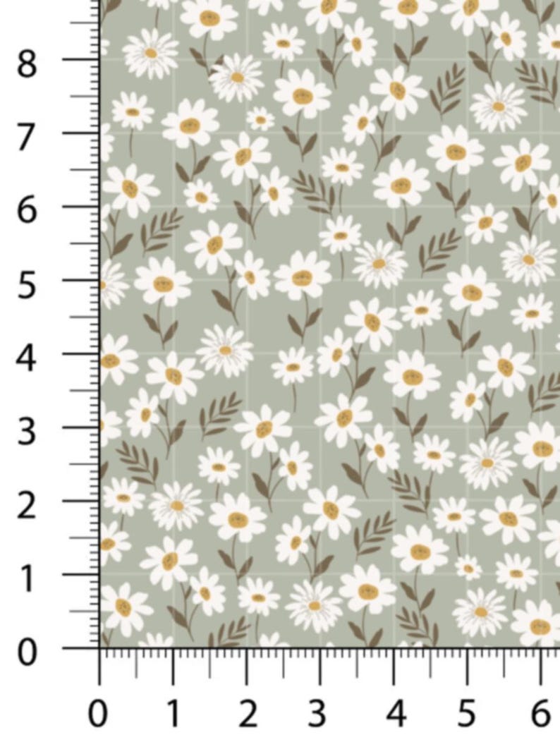 May include: A fabric pattern featuring white daisies with yellow centers and brown stems and leaves on a light green background. The pattern is arranged in a grid, with measurements in inches along the side.