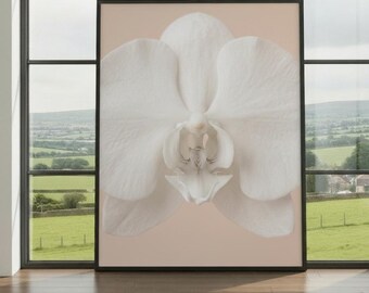 Lámina decorativa de orquídea blanca para pared: póster de fotografía botánica minimalista, elegante decoración floral, obra de arte floral contemporánea en tonos neutros.