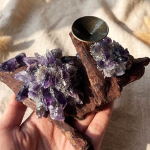 May include: A decorative piece featuring amethyst crystals clustered on a piece of driftwood. A small, dark metal bowl is set on the wood. The crystals are a deep purple color, and the wood is a rich brown.