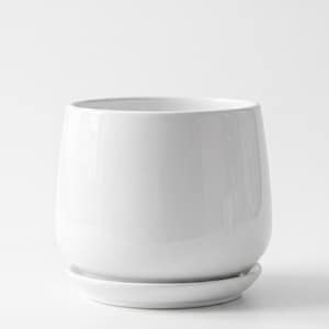 Può includere: Un vaso per piante in ceramica bianca liscia e lucida, caratterizzato da una silhouette arrotondata e bombata con un sottovaso circolare abbinato. Il contenitore presenta un'apertura ampia e una finitura pulita e uniforme.