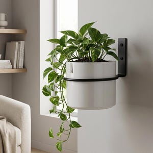 Op de afbeelding: Een witte cilindervormige plantenbak die wordt vastgehouden door een zwarte metalen wandbeugel. De plantenbak bevat een groen-gele bonte pothosplant met lange, bebladerde ranken die naar beneden hangen vanaf de rand van de gladde keramische pot.
