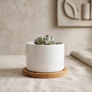 May include: A small, smooth, white cylindrical ceramic planter pot containing a single green succulent plant. The planter sits centred on a round, light-coloured wooden saucer base, providing a clean, neutral look for indoor plant display.