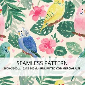 Patrón sin costuras de periquitos tropicales, papel digital Jardín de loros, diseño de tela Hibiscus Monstera, descarga digital de aves tropicales