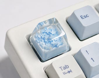 Copritasto meccanico con stelo MX / Copritasto retroilluminato trasparente per tastiera da gioco RGB / Sostituzione personalizzata dei copritasti