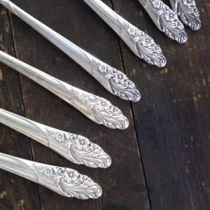 Your Choice Silver Plate Replacement Silverware, Retro Evening Star Silverplate, Community Oneida Wedding Birthday Gift Holiday