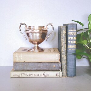 Vintage Decorative Book Set - Your Color Choice - Set of 5 Gray