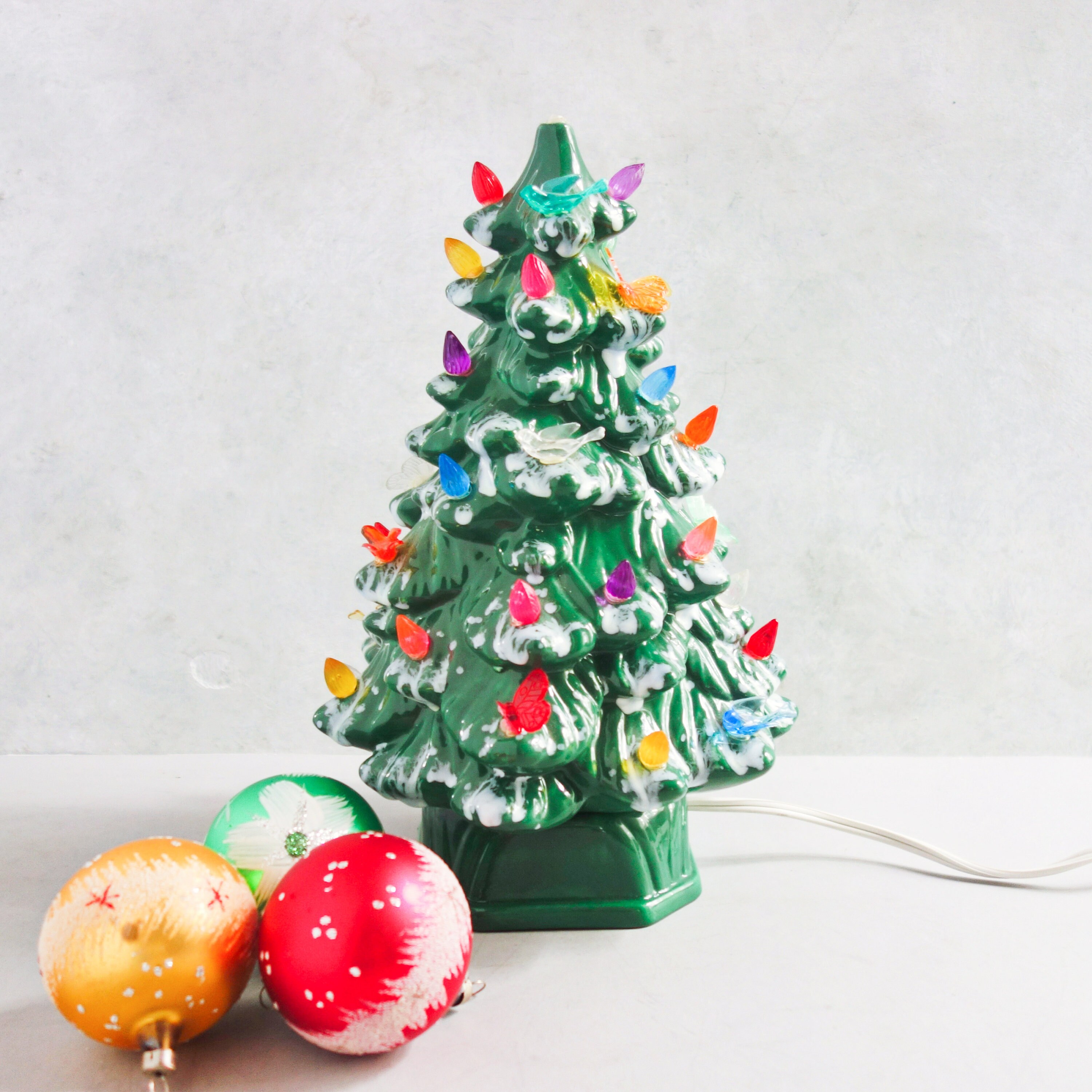 Xmas】OREGON ABIES FIRMA 2023年度「モミの木」販売のお知らせ