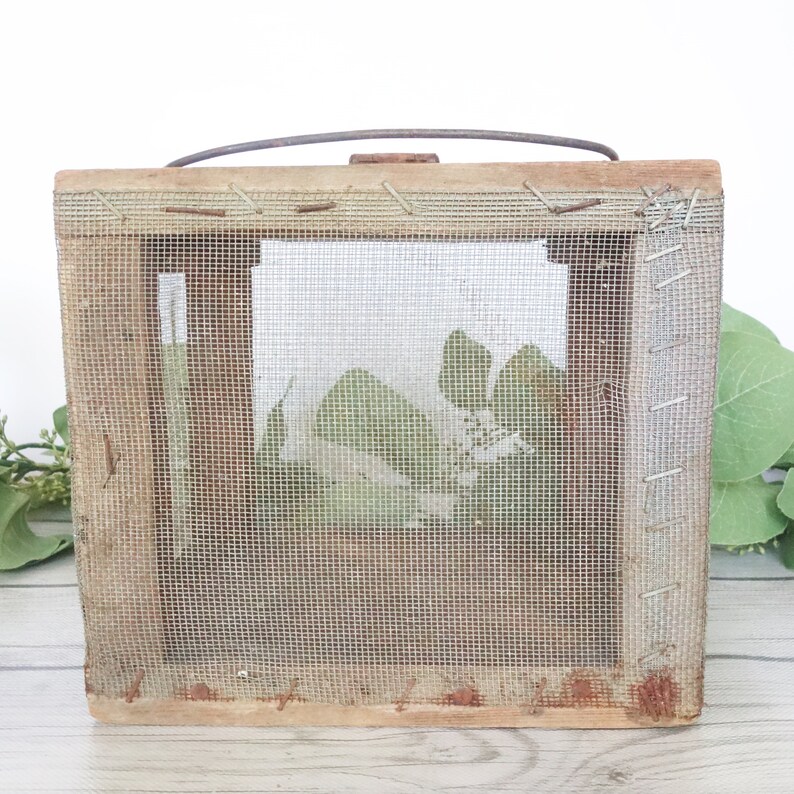 Vintage Hand Made Wooden Cricket Box Primitive Bait Box Etsy