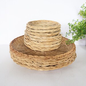May include: A stack of round, light brown woven wicker coasters resting on a larger, circular woven wicker tray. The items feature a natural tan color and a detailed, interlaced texture throughout the circular bases and the braided edges.