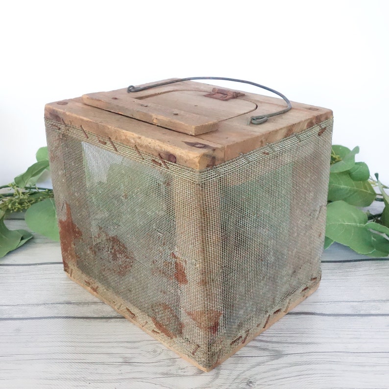 Vintage Hand Made Wooden Cricket Box Primitive Bait Box Etsy