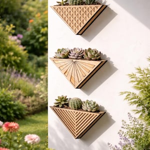 May include: Three triangular wooden planters with geometric designs are mounted on a white wall. Each planter holds a variety of succulents and cacti. The planters are a light brown color with black trim.