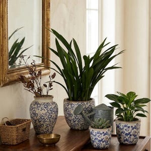 May include: A collection of ceramic planters and vases featuring blue and white floral patterns, a small woven basket, a brass bowl, and a galvanized metal watering can arranged on a wooden table with a mirror visible in the background.