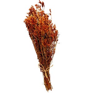 Greek St. John's Wort Whole Bunch Stems Loose Herbal Tea - Hypericum Perforatum