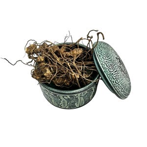 Può includere: Un contenitore rotondo in metallo color verde acqua, con coperchio, pieno di radici essiccate. Il contenitore presenta un disegno in rilievo sui lati e sul coperchio. Le radici sono marroni e aggrovigliate.