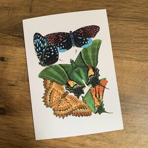 Carte de voeux papillon, papillons vintage, anniversaire, mariage, sympathie, carte d'art.