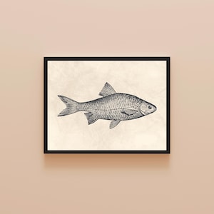 May include: A framed black and white illustration of a fish. The fish is depicted with detailed scales and fins, set against a textured, off-white background. The artwork is a vintage-style drawing.
