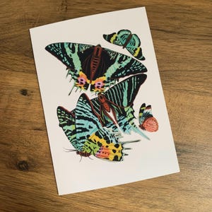 Carte de voeux papillon, papillons vintage, anniversaire, mariage, sympathie, carte d'art.