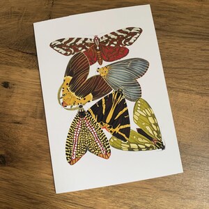 Carte de voeux papillon, papillons vintage, anniversaire, mariage, sympathie, carte d'art.