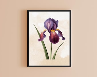 Lámina de iris morado estilo vintage, decoración de pared estilo vintage (descarga digital)