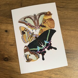 Carte de voeux papillon, papillons vintage, anniversaire, mariage, sympathie, carte d'art.