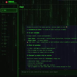 Peut inclure: Un écran d'ordinateur affiche une interface de chat avec du texte vert sur fond noir, ressemblant à du code. L'écran affiche du texte en français, avec une boîte de chat verte à gauche et un bouton vert en bas.