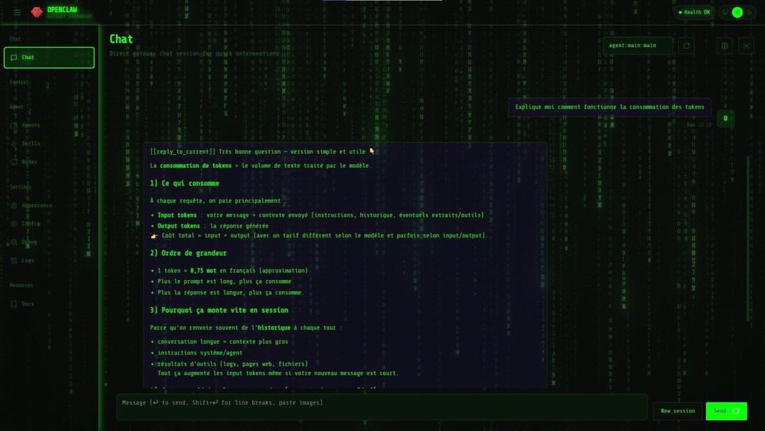 Hacker Code Border Openclaw Terminal Green Hacker Theme & Dashboard | Custom Clawdbot ...