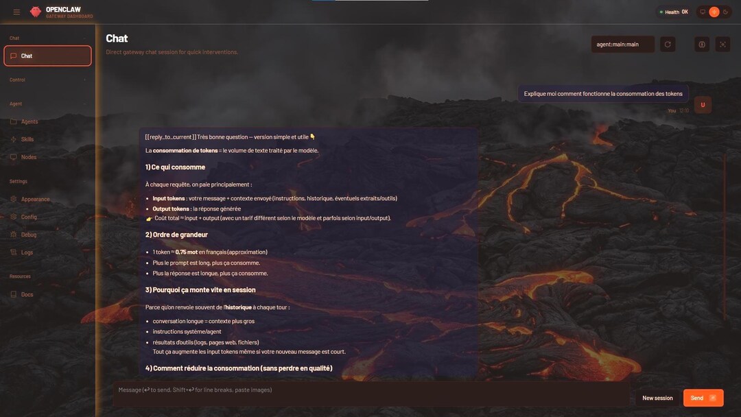 Lava Border Graphics Openclaw Volcanic Theme & Dashboard | Custom Clawdbot Interface ...