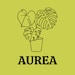 AureaBotanica store logo