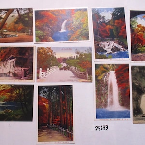 1900 bis 40er Jahre 10Antike Japanische Herbstblätter und Wasserfall Postkarten Papiercollage 25624