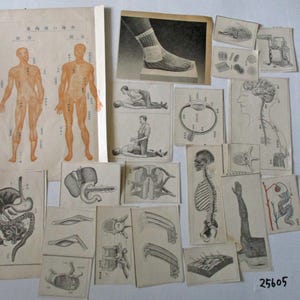 19 peças de ilustração de anatomia de medicina japonesa antiga, pequeno recorte de papel efêmero, 25605