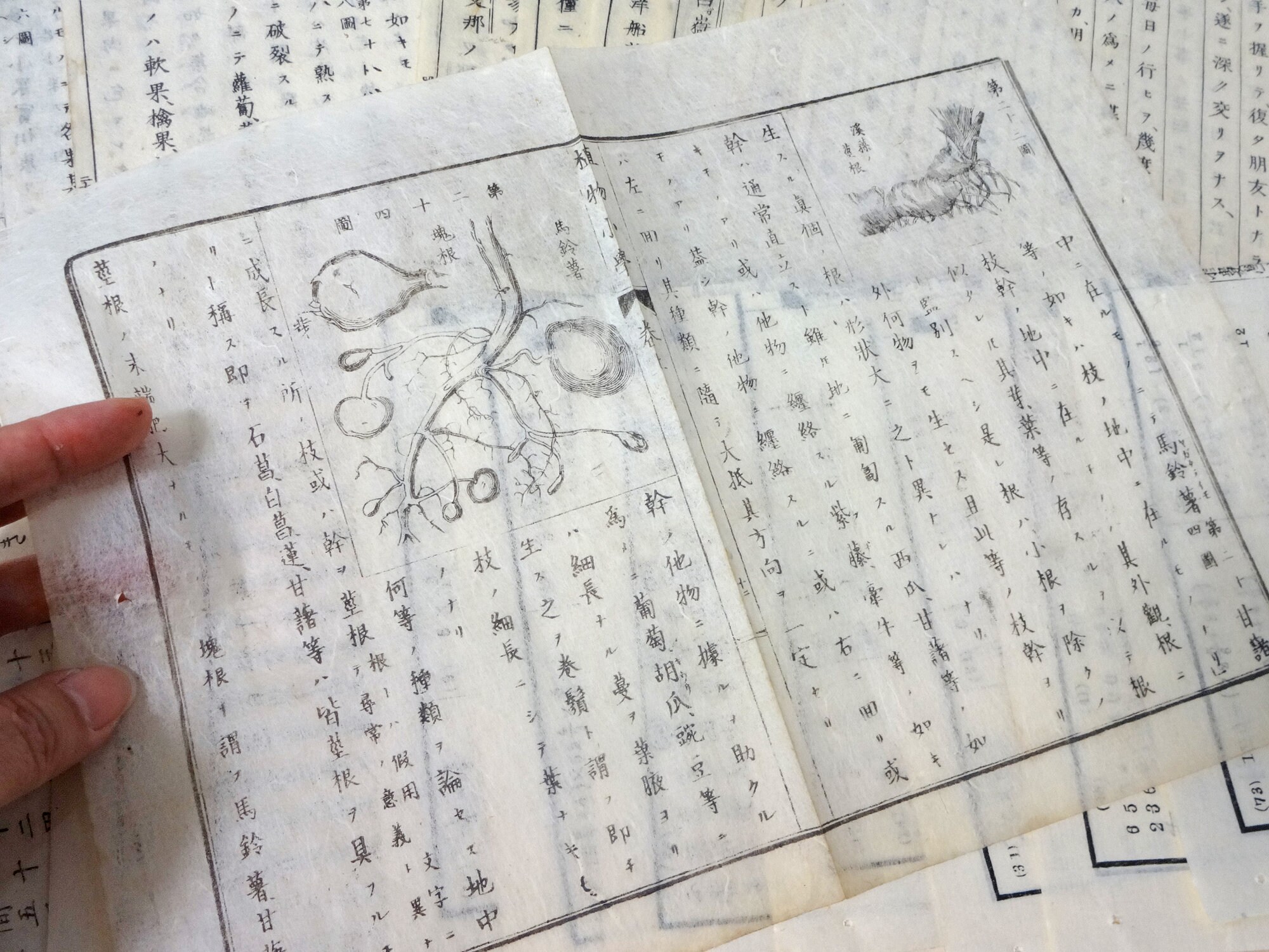 S 28pages 1880 - 1920s Antique Japanese WASHI Book Pages