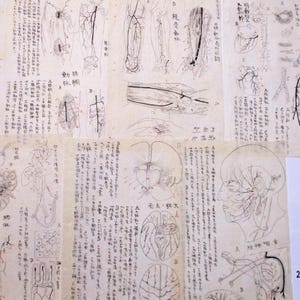 Années 1900, 6 pages, illustration japonaise antique, pages de cahier manuscrites, neurologie, médecine vasculaire, anatomie, papier, éphémères, 2501L