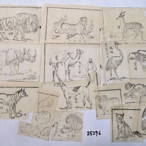 15 peças 1898s Antigo japonês WASHI bloco de madeira impressão animal ilustração pequeno recorte papel efêmero sucata 25296