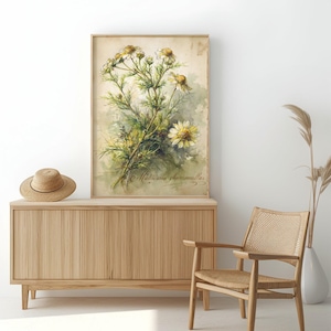 May include: A framed watercolor print of chamomile flowers, with yellow and white petals and green stems. The print is displayed on a light wood cabinet, next to a woven chair and a straw hat. The text "Matricaria chamomilla" is visible.