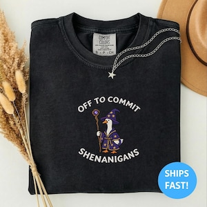 May include: A black crewneck sweatshirt featuring an embroidered graphic of a white goose dressed as a wizard in a purple robe and hat, holding a wooden staff. The text reads OFF TO COMMIT SHENANIGANS in white letters arched around the goose.