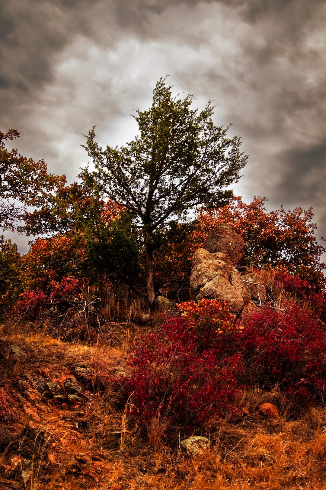 Fall Colors, Landscape Photography Print - Etsy