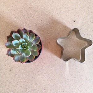 May include: A succulent plant in a black pot with green and red-tipped leaves. A silver star-shaped cookie cutter is next to the plant. The items are on a light brown surface.