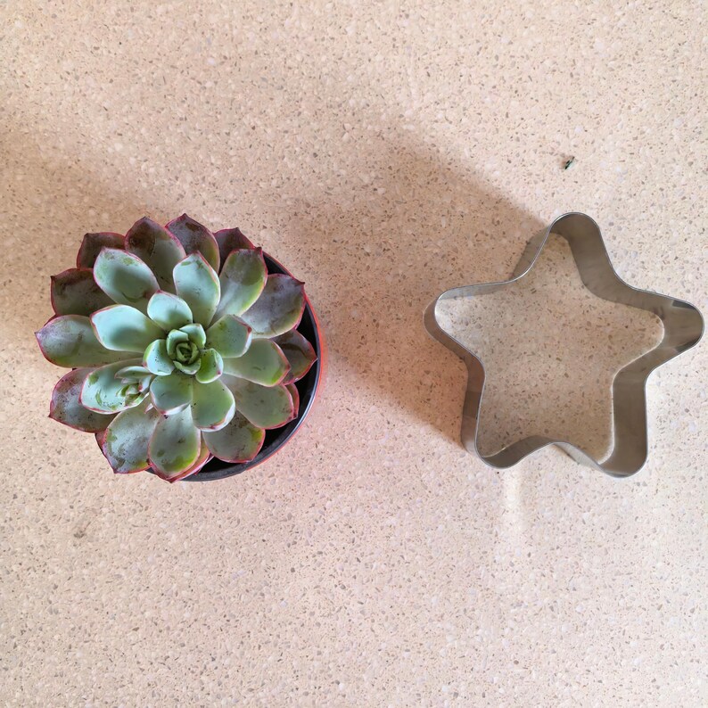May include: A succulent plant in a black pot with green and red-tipped leaves. A silver star-shaped cookie cutter is next to the plant. The items are on a light brown surface.