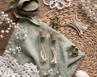 Echte Eichhörnchen-Rippe-Knochen in Glasfläschchen Micro Osteologie Probe Taxidermy Zauberglas Versorgung Miniatur Kuriosität