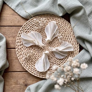 Real Squirrel Scapula Bone Cleaned Micro Osteology Specimen Taxidermy Cottagecore Fairy Wing Art Supply