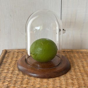 cloche en verre avec socle, dôme en verre, dôme en verre vintage, cloche avec socle en bois, présentoir en verre, présentoir en verre vintage, cloche en verre vintage