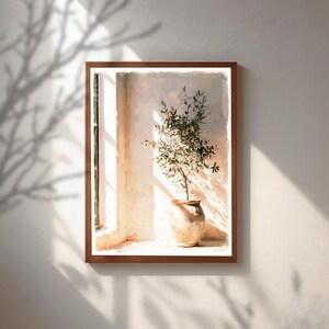 May include: A framed wall art print depicting a small olive tree in a rounded, light-colored ceramic pot. The scene shows the plant positioned near a window, with soft, warm sunlight casting distinct shadows across the textured wall surface.