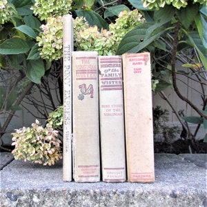 Lot of 4 decorative vintage/antique books about the old west, The Pony Express, 2 by Owen Wister, 1 by Zane Grey, books for boys