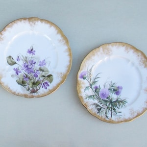 Pair of hand painted Limoges plates with violets and thistles, Haviland Limoges plates with purple flowers