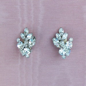 May include: A pair of silver tone earrings with clear rhinestone accents. The earrings are shaped like a cluster of leaves.