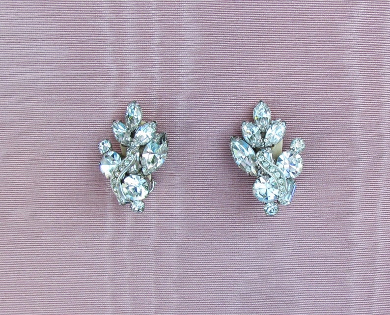 May include: A pair of silver tone earrings with clear rhinestone accents. The earrings are shaped like a cluster of leaves.
