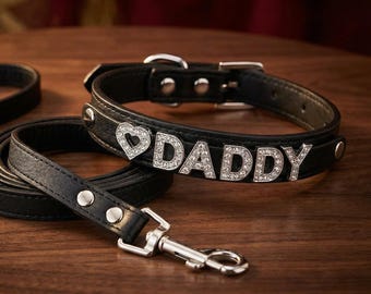 Black Faux Leather Choker Collar and Leash Set, Rhinestone Letters, Gothic Punk Accessory