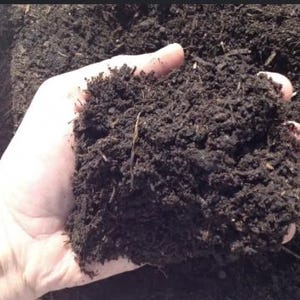 Humusbodem uit wilde bossen | Organic Living Soil, microberijk amendement (zak van 10 pond)